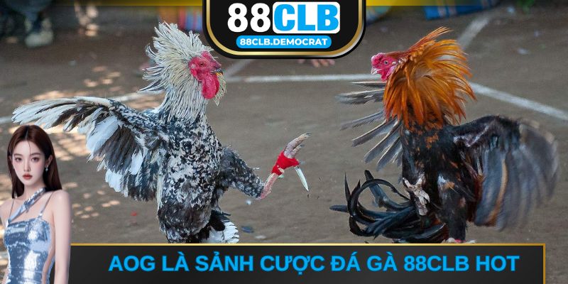 AOG là sảnh cược dẫn đầu thị trường ngày nay